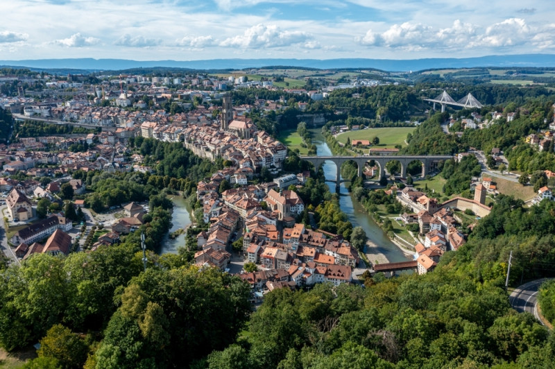 eliminer guepes a Canton de Fribourg